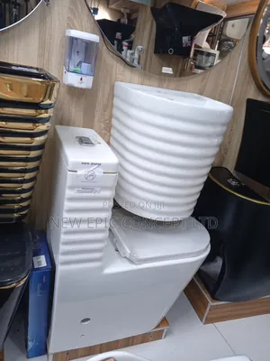 Executive Toilet Seat With Basin