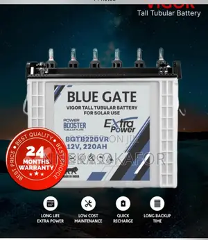 Blue Gate 220ah Tubular Inverter Battery