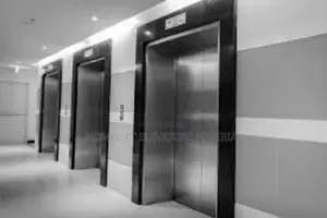 High Quality Safety Semi-Circular Observation Elevator