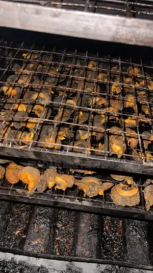 Grill Snail (Oven-Dried)