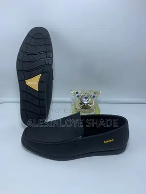 Men Shoe Aldo