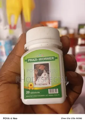 Praziwormer
