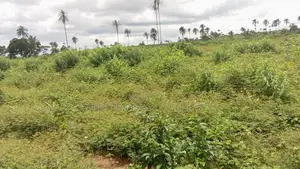 Hottest Most Affordable Airport View Land to Buy in Asaba