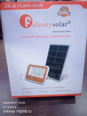 Solar Flood Light Felicity