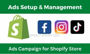 Facebook Ads Campaign Instagram Ad Tiktok Video Ads