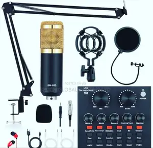 Professional Recording Sound Stand Microphone