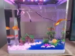 Aquarium + Decor and Fishes - 50cmx67cmx23cm- 64l- White