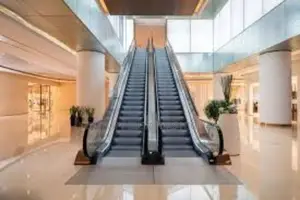 Domestic Escalators for Shopping Mall