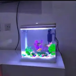 Aquarium + Decor and Fish - 15 Liters- 335x300x190mm - White