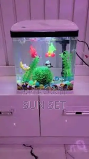 Aquarium + Decor and Fish - 9 Liters - 240x165x280mm - White
