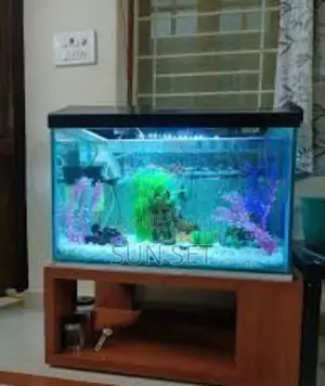 5fit Outdoor Aquarium for Lounges With Fishes