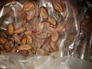 Pure Coco Bean/Coco Powder