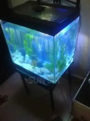 Big Factory Made Aquariums