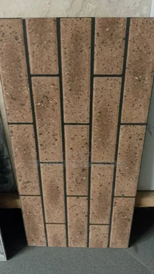 Standard Quality Outside Wall Tiles 30*60