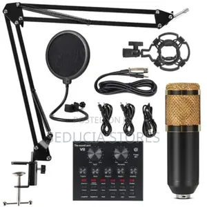 Condenser Microphone With V8 Live Sound Card