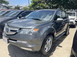 Acura MDX 2009 Gray