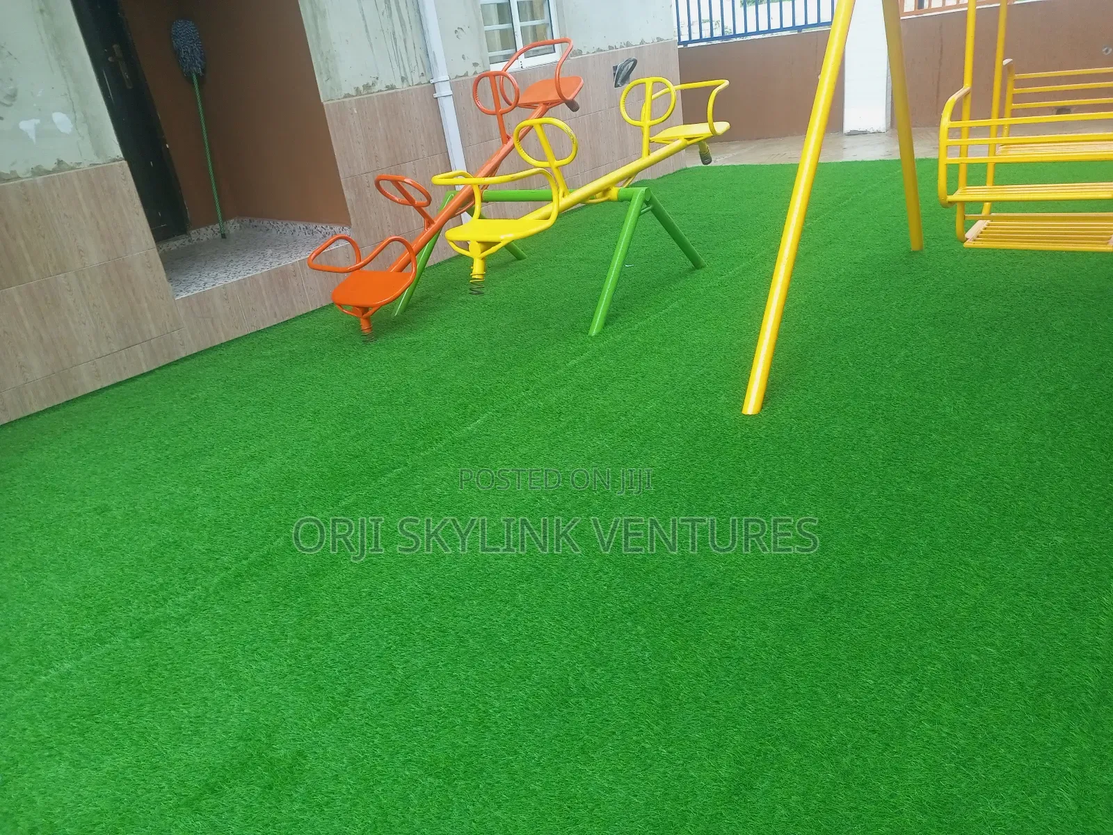 Green Carpet Grass