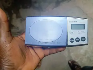 Mini Scale