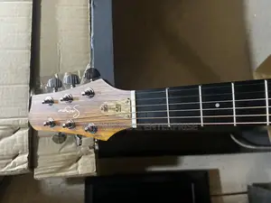 Lg-09 Smiger Semi Acoustic