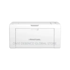 Pantum P2509w Wireless Mono Laser Single Function Printer