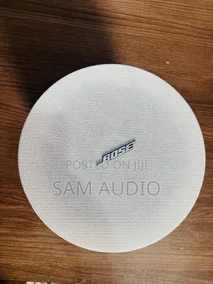 Bose Woofer Ceiling Speaker