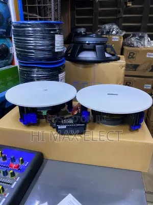 30W Sound Code Bt Ceiling Power Speaker