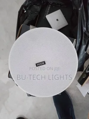 Ceiling Speaker