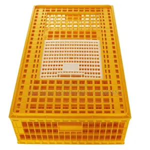 Big Size Chicken Transport Crates - Main Dealer Quality