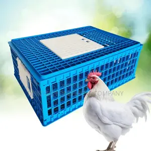 Top-Quality Chicken Transport Crates - Main Distributor