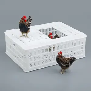 Large-size Chicken Crates - Direct Main Dealer Supply