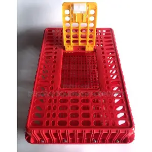Chicken Crates Direct From Main Dealer - Big Size