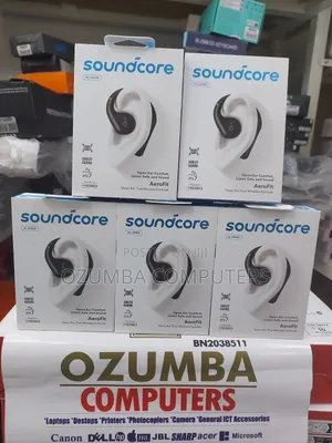 Soundcore Aerofit Earbuds