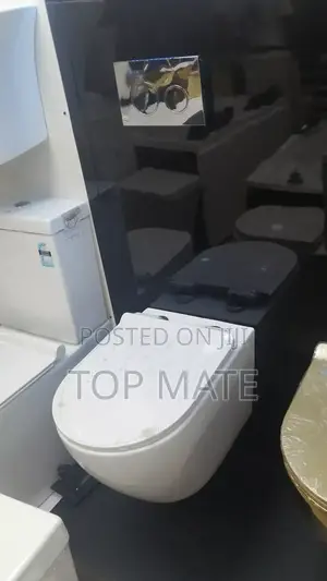 England Wall Hung Wc Toilet C50