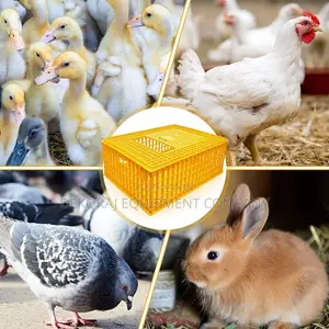 Large Chicken Crates Direct From Dealer - Top Quality