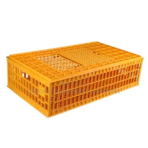 Big Indian Chicken Transport Crates for Sale - Quality Assured