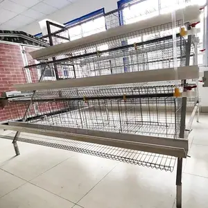 96 Chicken Hot Dip Foreign Cage For Layers(20 Year Lifespan