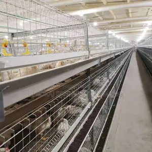 Special Broiler Chicken Cage, Imported Brooding Cage, Layers