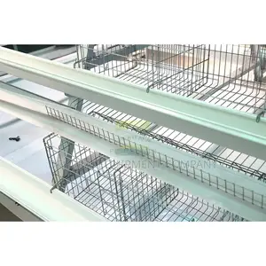 Brooding Cage For Raising Healthy Broiler And Layers