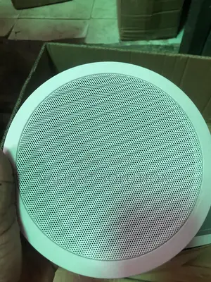 Ceiling Mounted Public Address Loud Speaker.