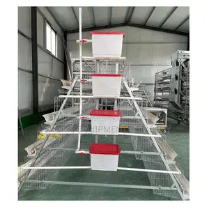 300 Birds Capacity Cage, Hot Dip Galvanize Cage, Brooding