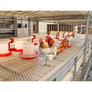 Brooding Cage, Broiler Cage, Layers Cage, Poultry Cages
