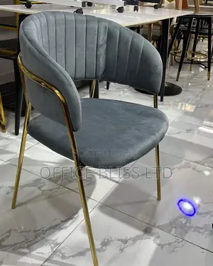 Luxury Velvet Bed Room / Dinning Chair- Gray