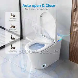 Tankless Smart Intelligent Sensor Toilet