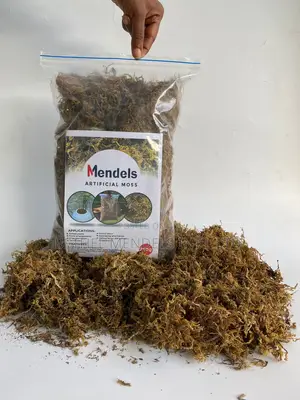 Bulk Sales of Artificial Moss for Homes/Offices Decor | 250g