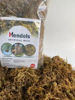Decorative Artificial Moss for Indoor/Outdoor | 250g