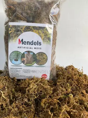 Bulk Sales of Artificial Moss for Indoor/Outdoor Decoration