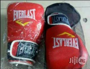 Everlast Boxing Gloves
