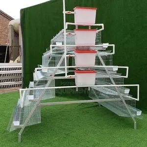 160 Birds Foreign Layer Battery Cage, Point Of Lay, Etc