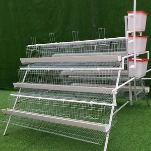 120 Birds Poultry Cage, Buy For Up To 100,000 Birds Capacity