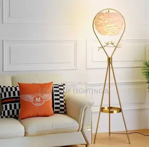Modern Luxury Floor Lamp for Home and Offices